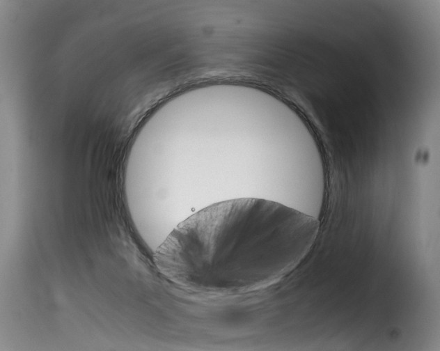 X0000116060023200911201211