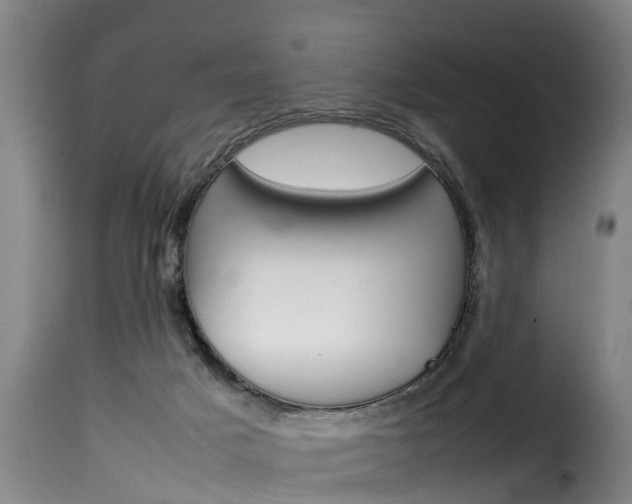 X0000116060025200911201211