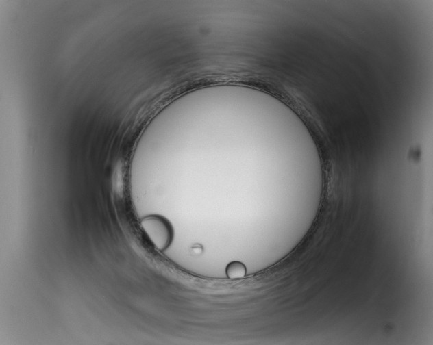 X0000116060026200911201211