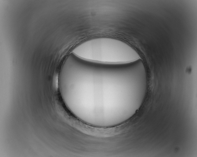 X0000116060027200911201211