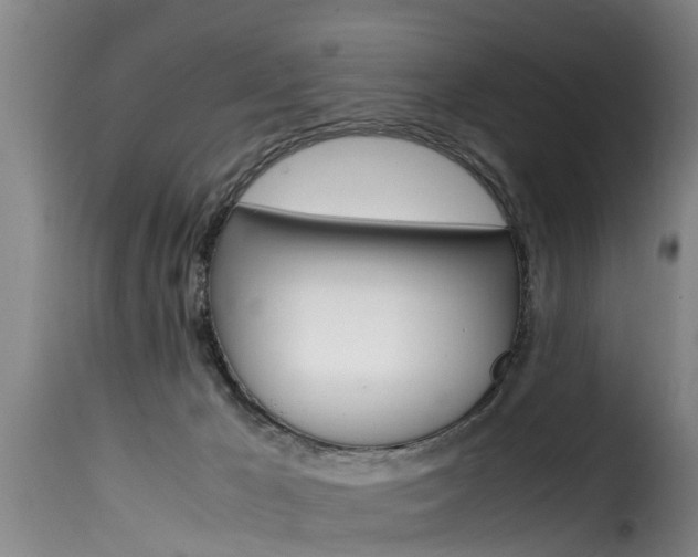 X0000116060029200911201211