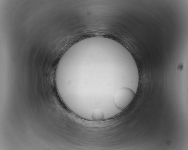 X0000116060030200911201211