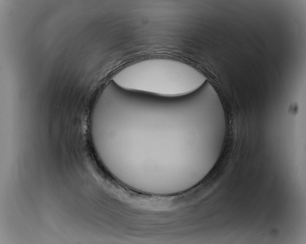 X0000116060032200911201211