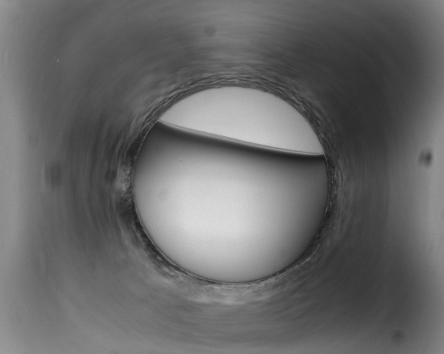 X0000116060033200911201211