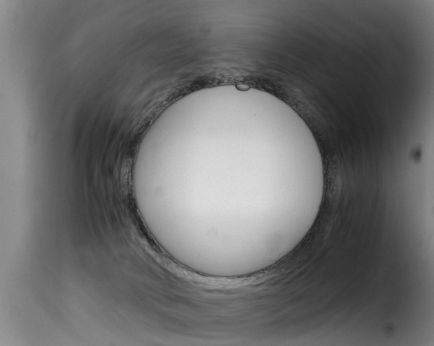 X0000116060034200911201211