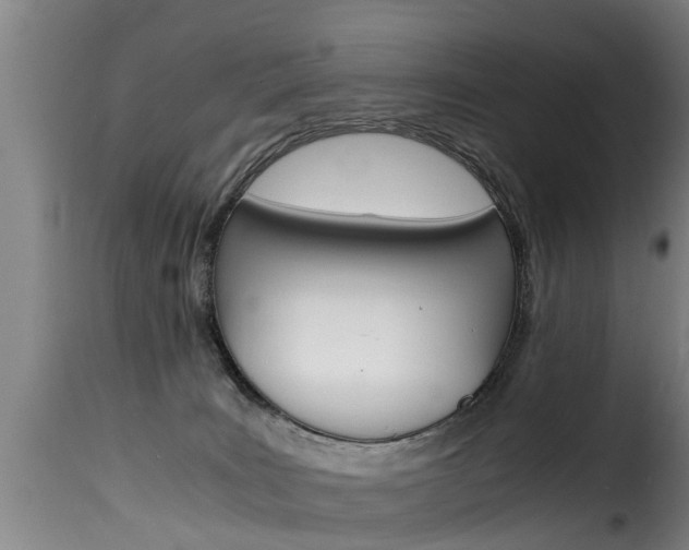 X0000116060035200911201211