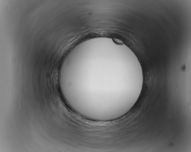 X0000116060036200911201211