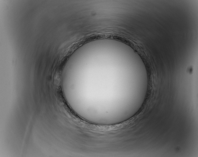 X0000116060037200911201211