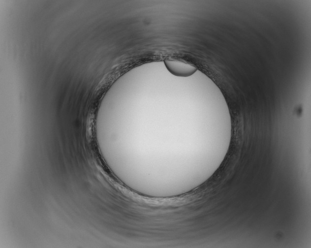 X0000116060038200911201211