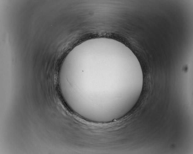 X0000116060039200911201211