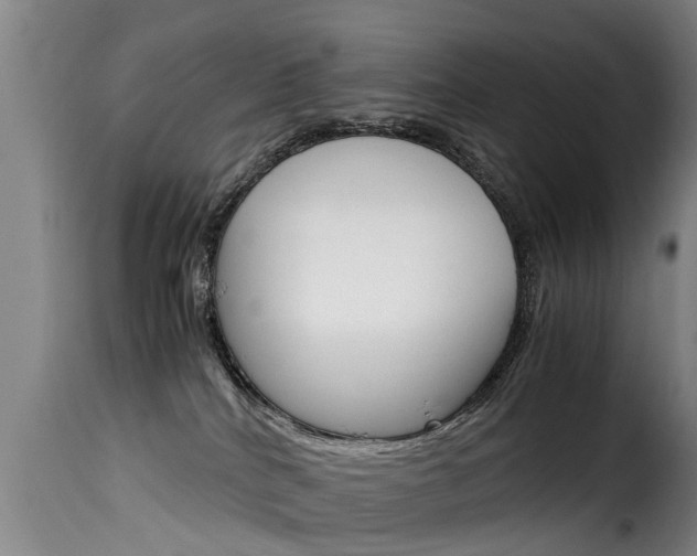 X0000116060040200911201211