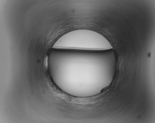 X0000116060041200911201211
