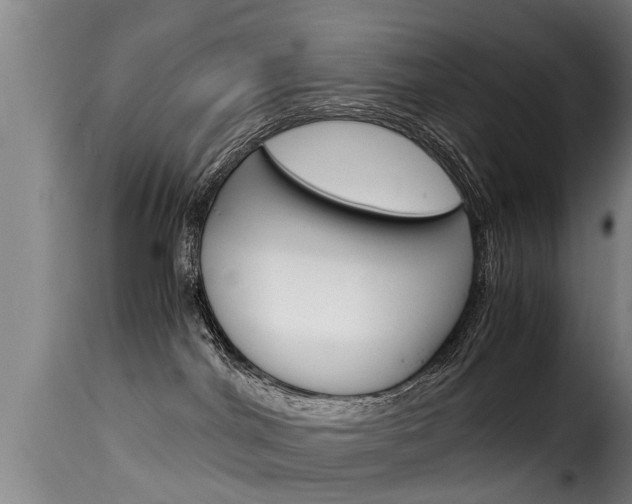 X0000116060044200911201211