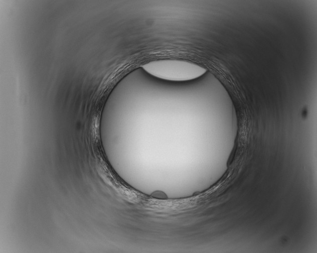 X0000116060045200911201211
