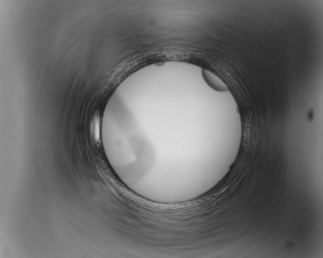 X0000116060046200911201211