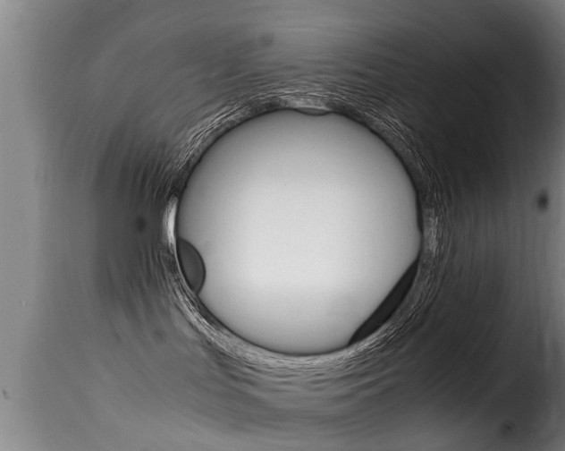 X0000116060047200911201211