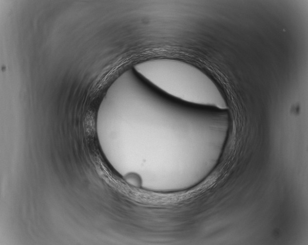 X0000116060048200911201211