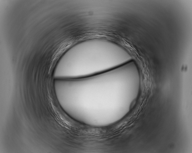 X0000116060049200911201210