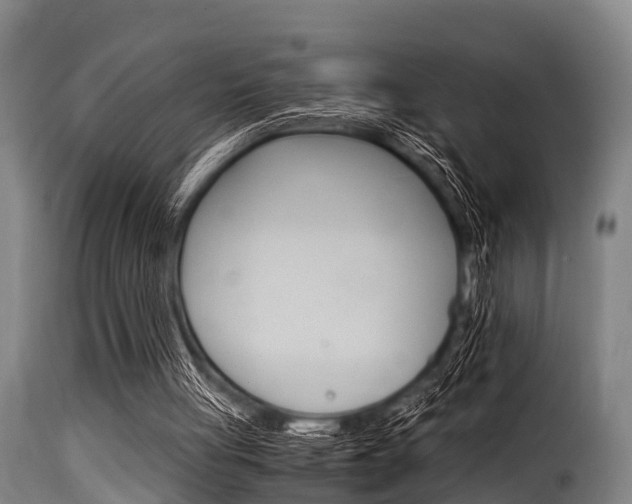 X0000116060051200911201210