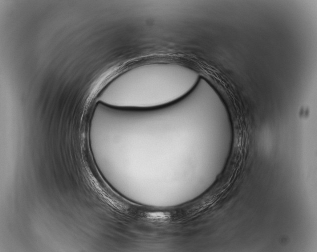 X0000116060053200911201210