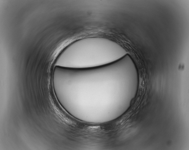 X0000116060054200911201210