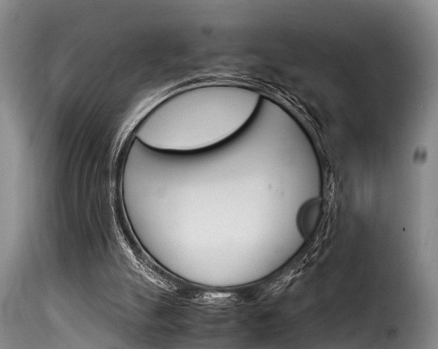X0000116060055200911201210