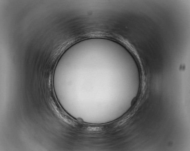 X0000116060057200911201210