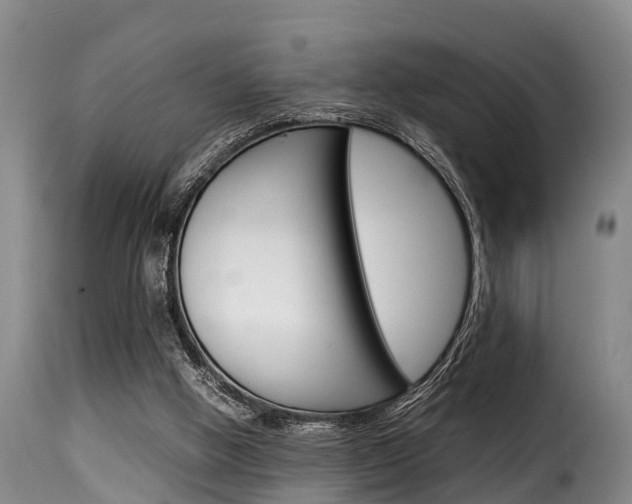 X0000116060058200911201210