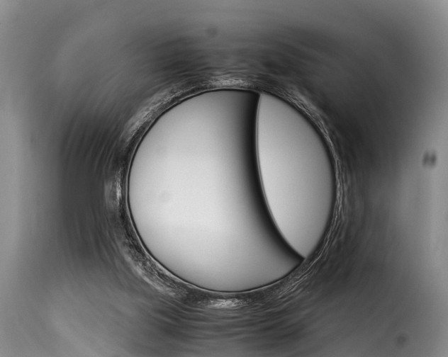 X0000116060059200911201210