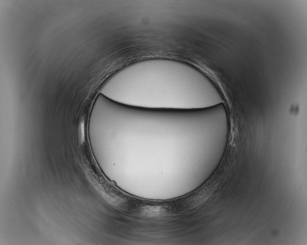X0000116060061200911201210