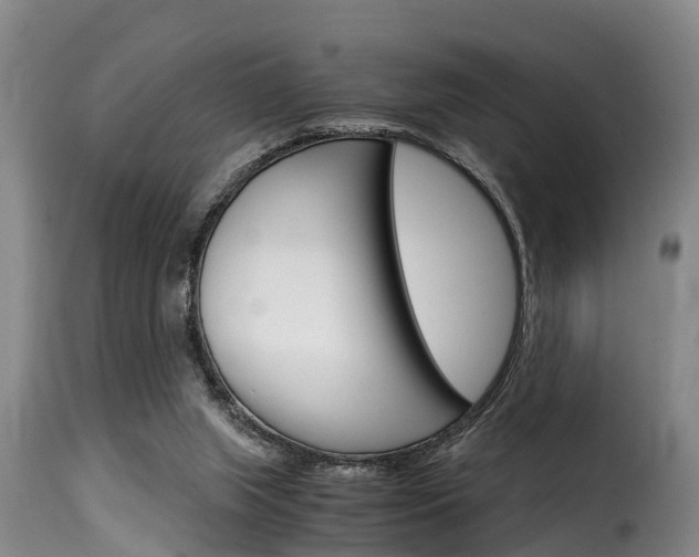 X0000116060063200911201210