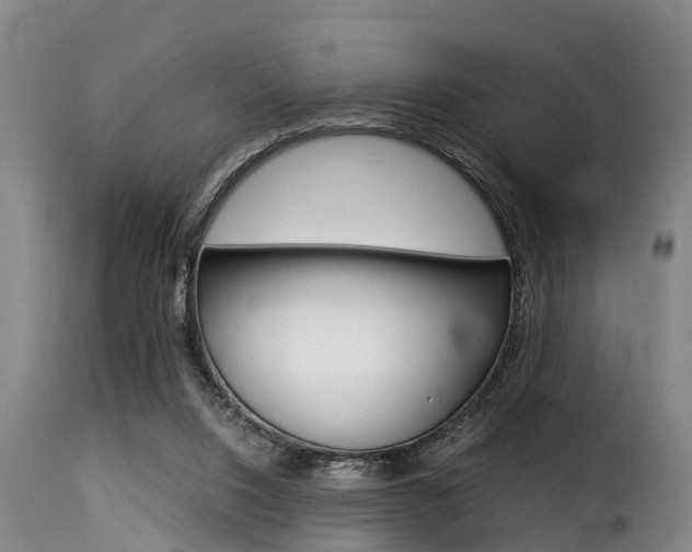 X0000116060064200911201210