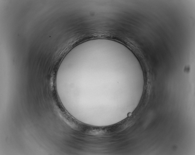 X0000116060065200911201210