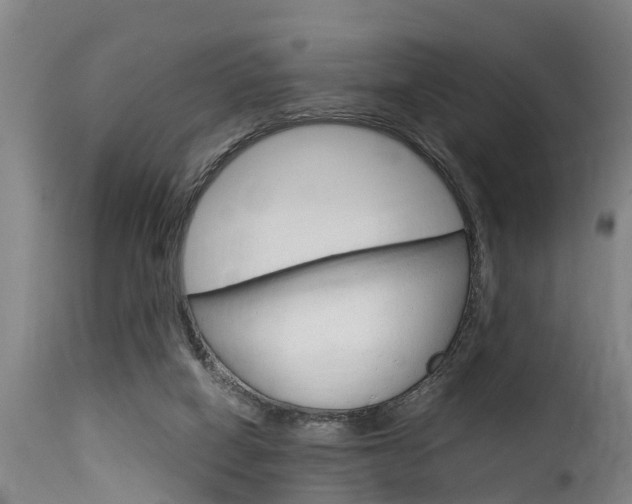 X0000116060066200911201210