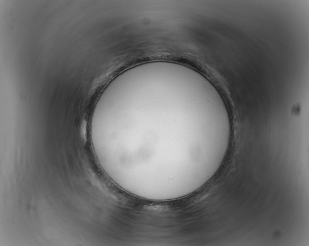 X0000116060067200911201210