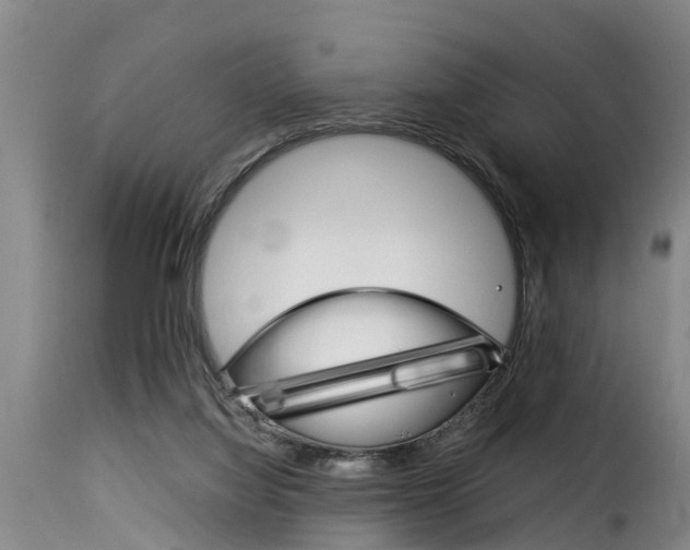X0000116060068200911201210