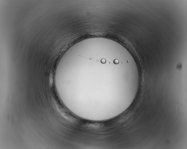 X0000116060069200911201210