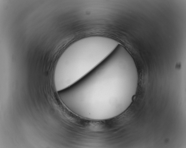 X0000116060070200911201210
