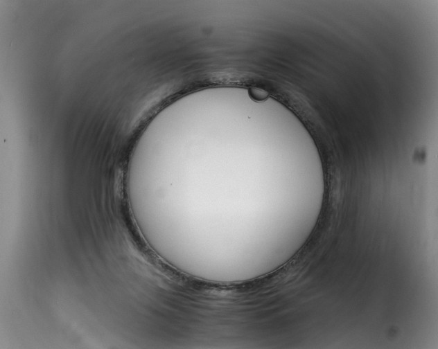 X0000116060071200911201210