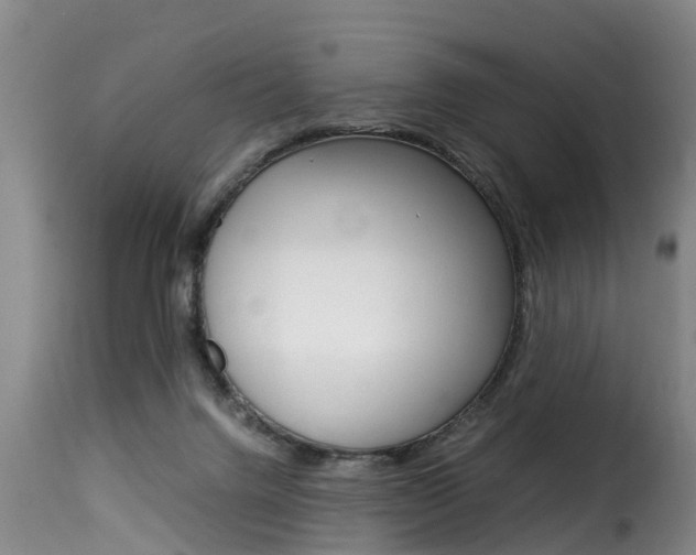 X0000116060072200911201210