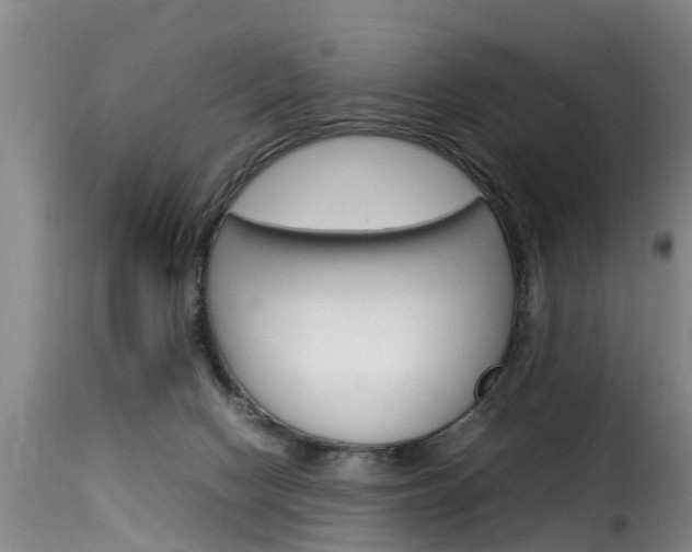 X0000116060074200911201210