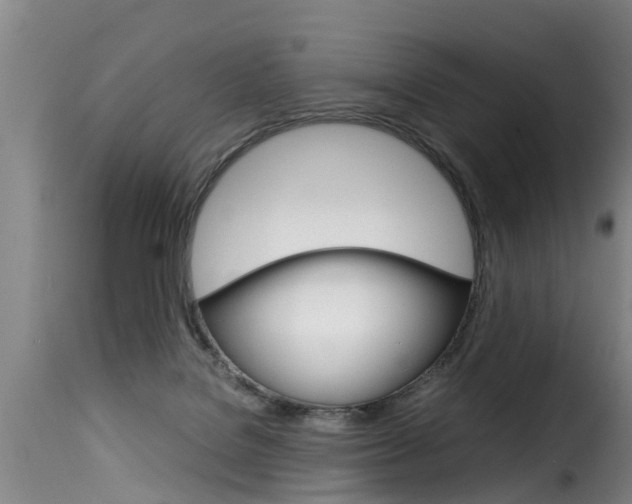 X0000116060076200911201210