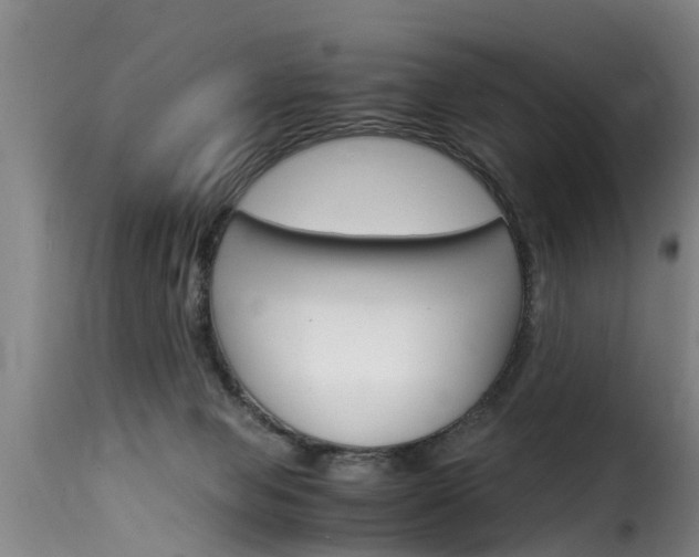 X0000116060077200911201210