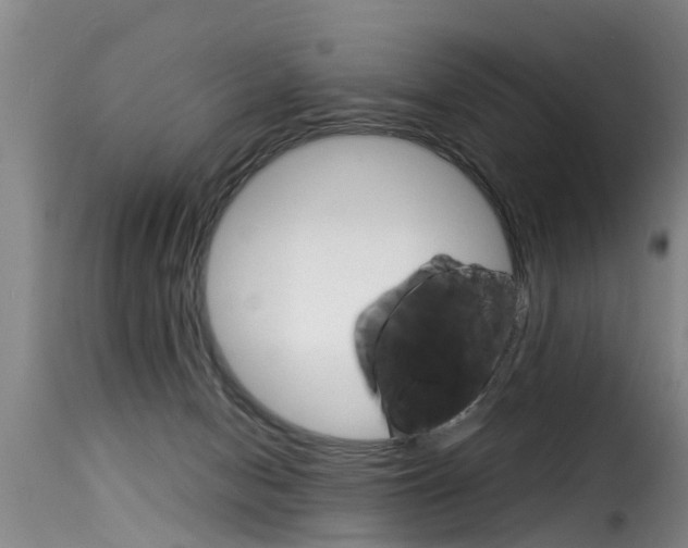 X0000116060078200911201210