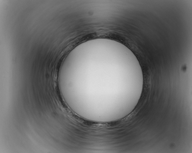 X0000116060082200911201210