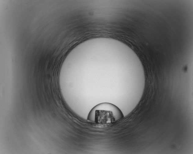 X0000116060084200911201210