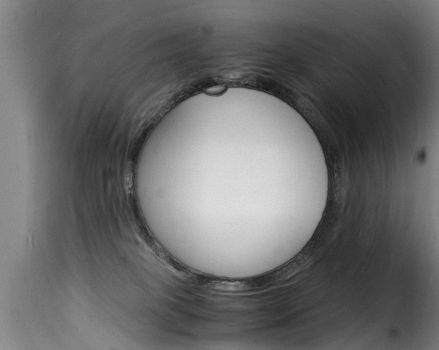 X0000116060085200911201210