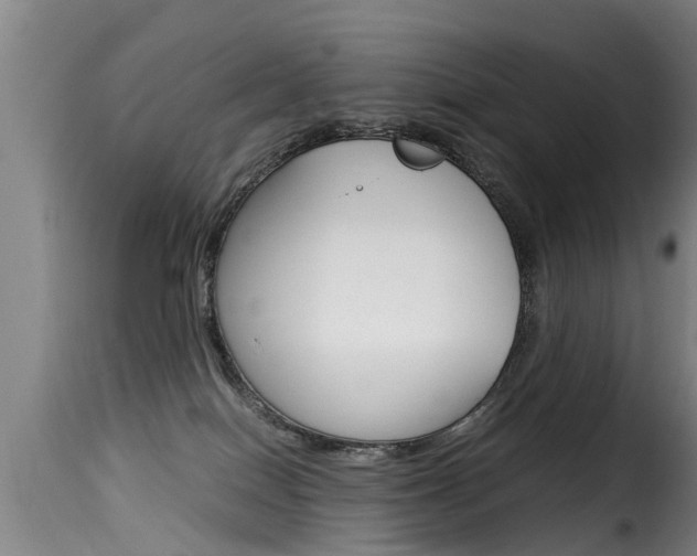 X0000116060086200911201210