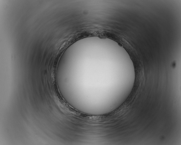 X0000116060088200911201210