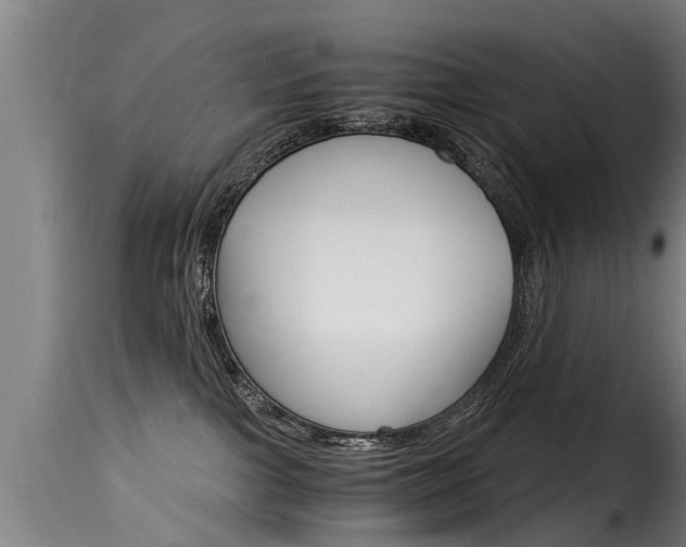 X0000116060091200911201210